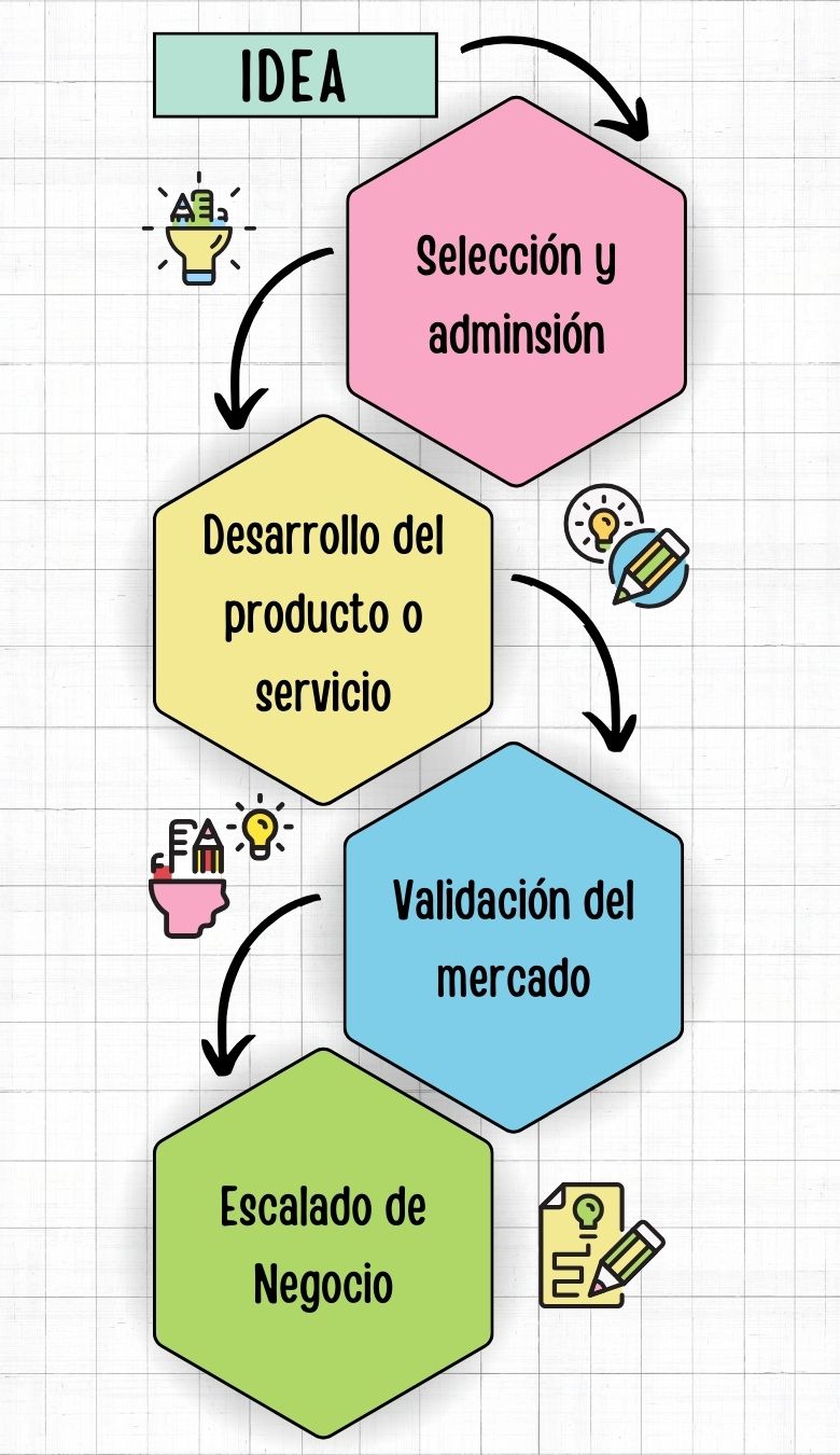 Proceso de Incubación - Incubadora KOM